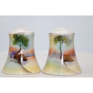 Vintage Noritake Hand Painted Salt and Pepper Shakers, Japan 3"